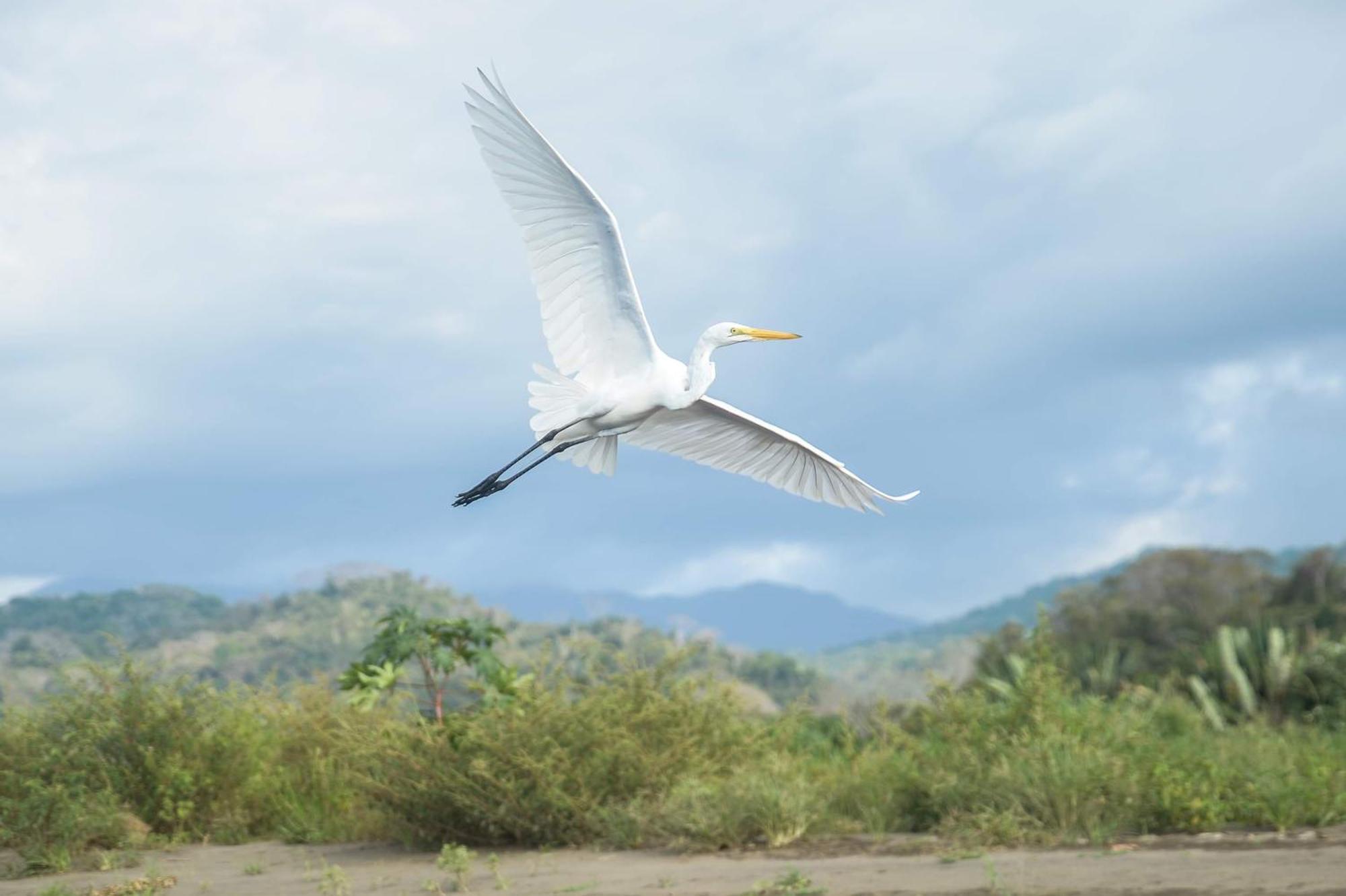 Finca Quietud Tárcoles 外观 照片